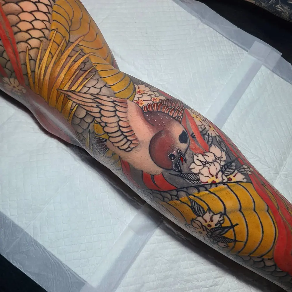 Dragon, Animal