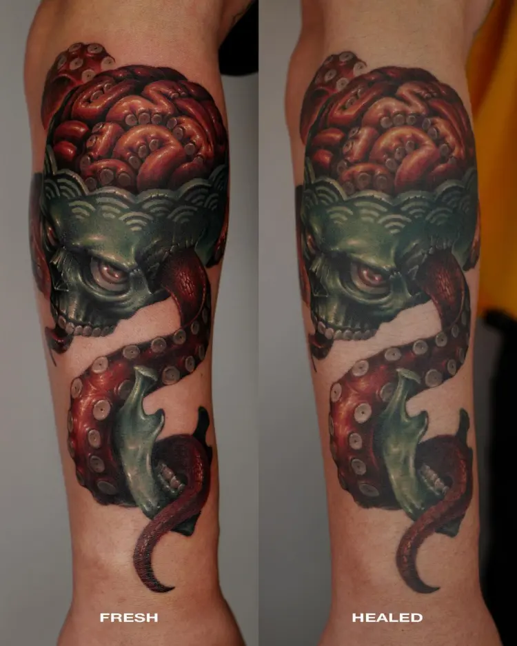 Skull, Animal
