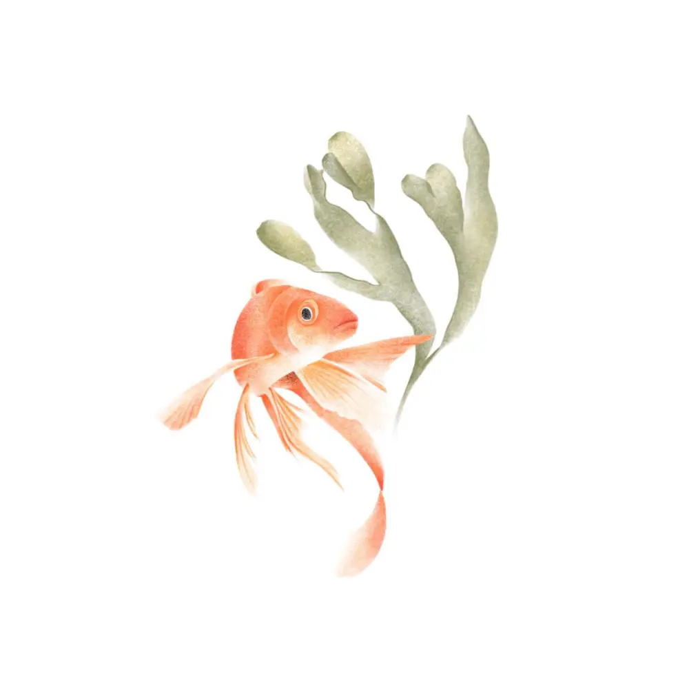 Animal, Nature