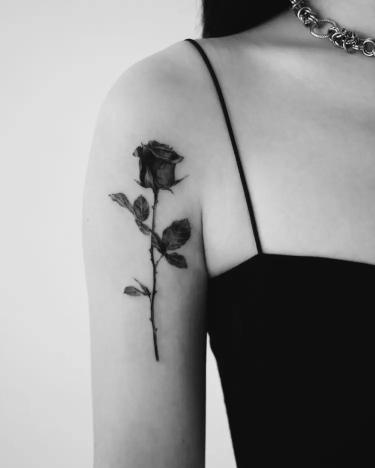 Flower, Rose