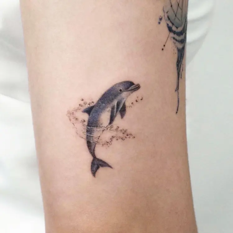 Animal, Nature