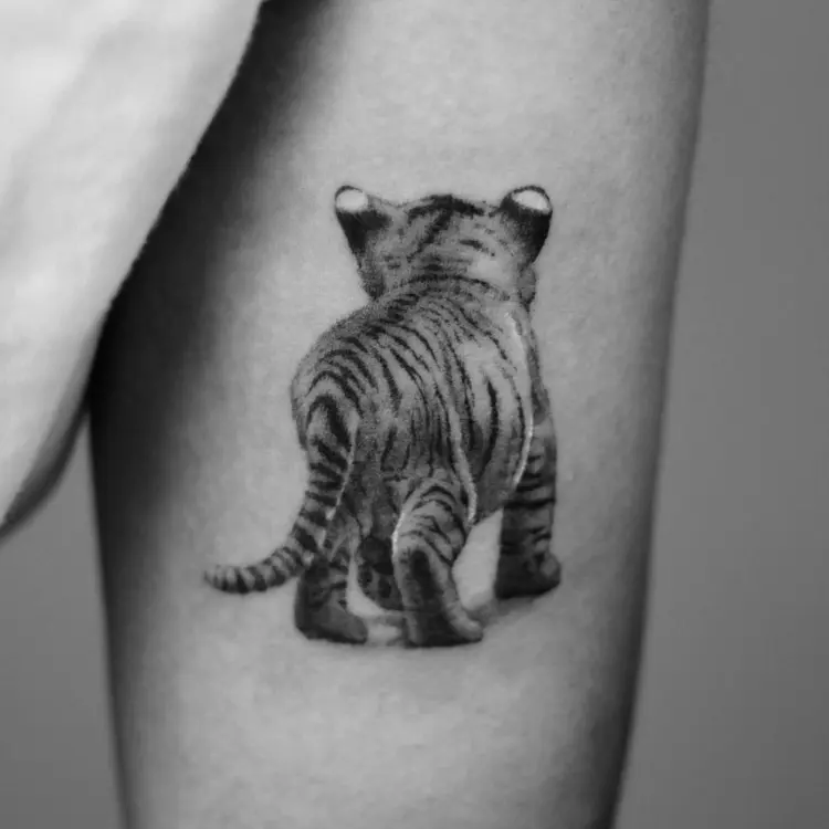 Tiger, Animal