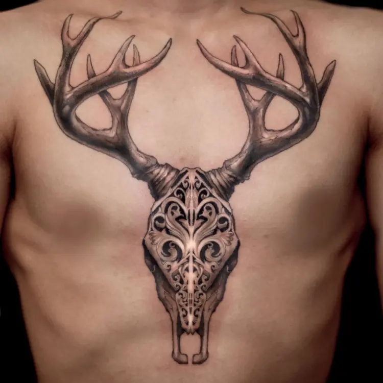 Animal