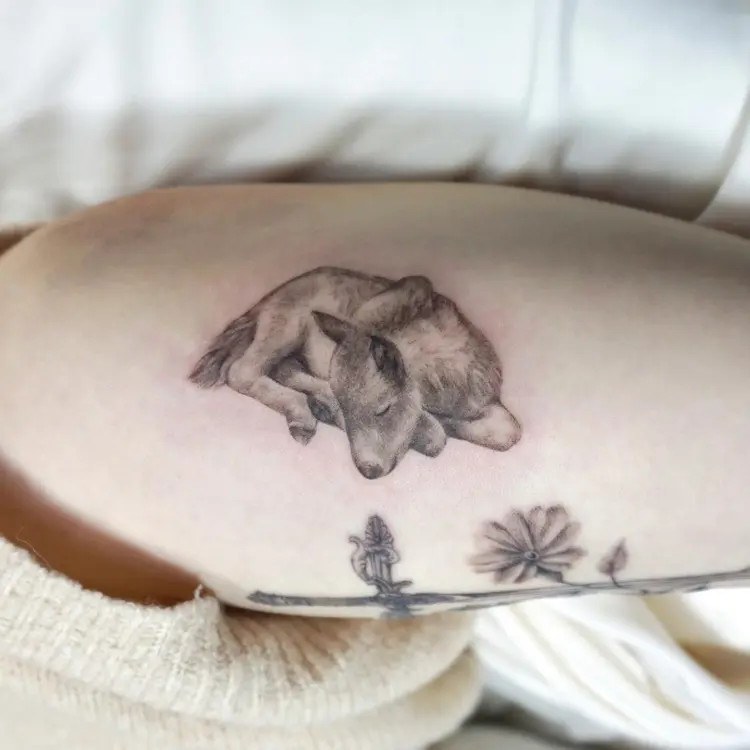 Animal
