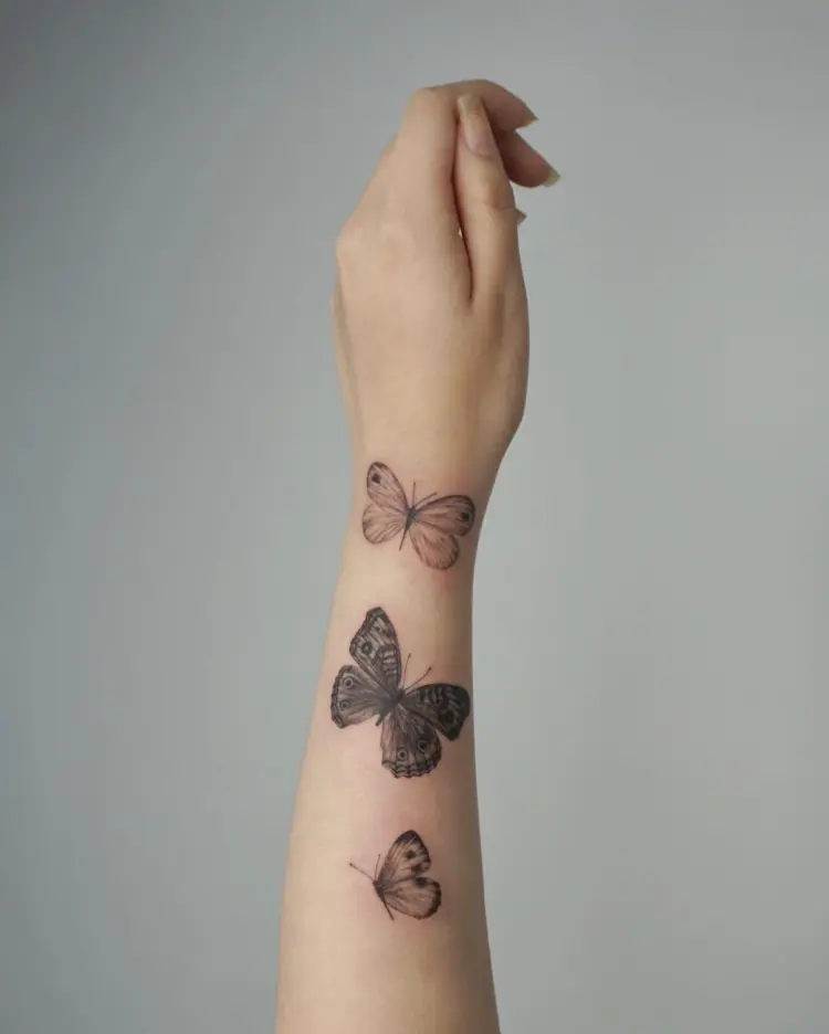 Animal, Nature