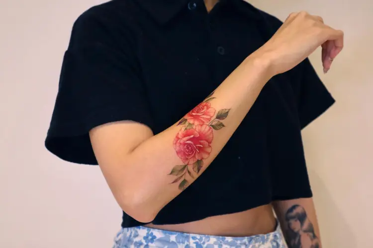 Flower, Nature, Rose