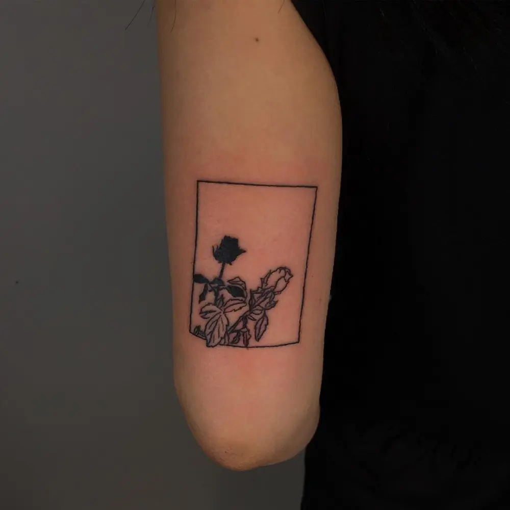 Flower, Rose