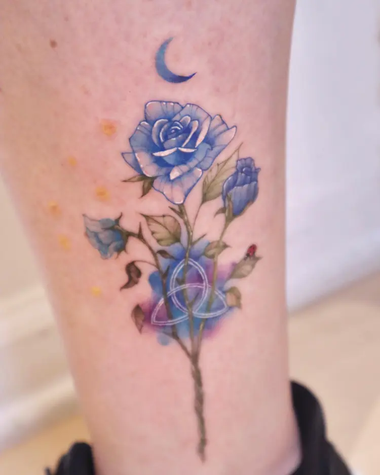 Flower, Rose, Nature