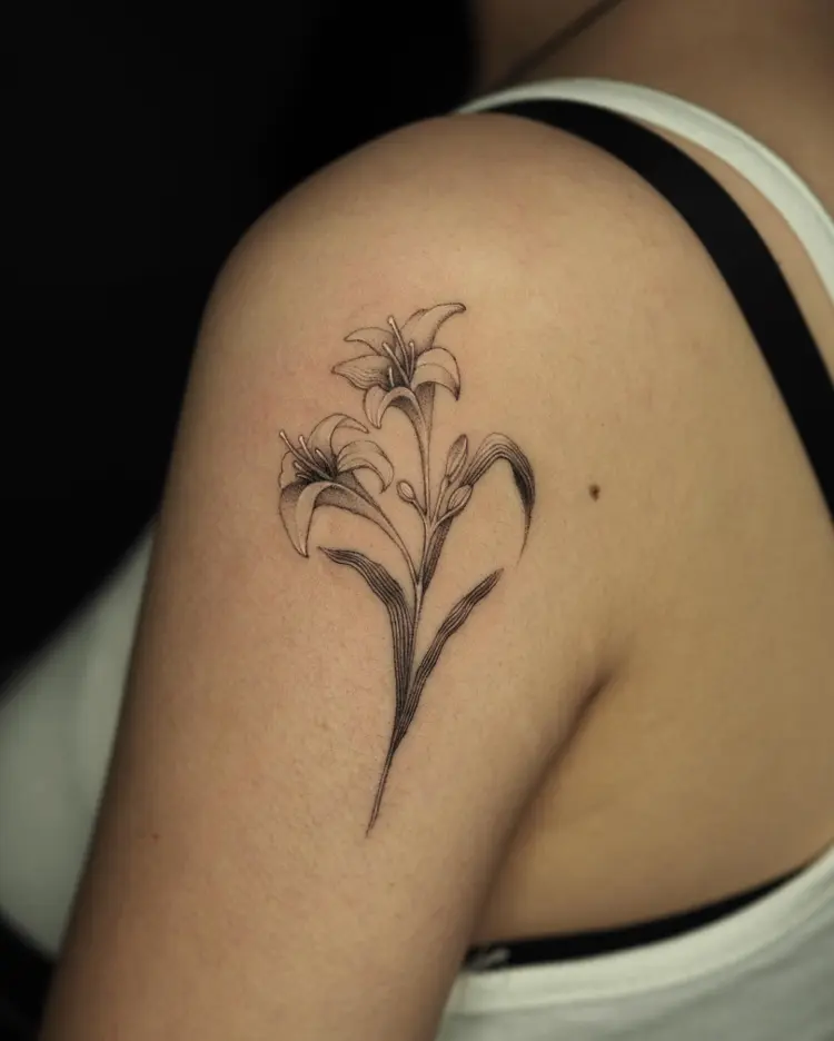 Flower, Nature