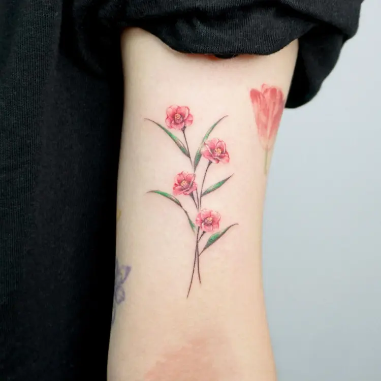 Flower, Nature