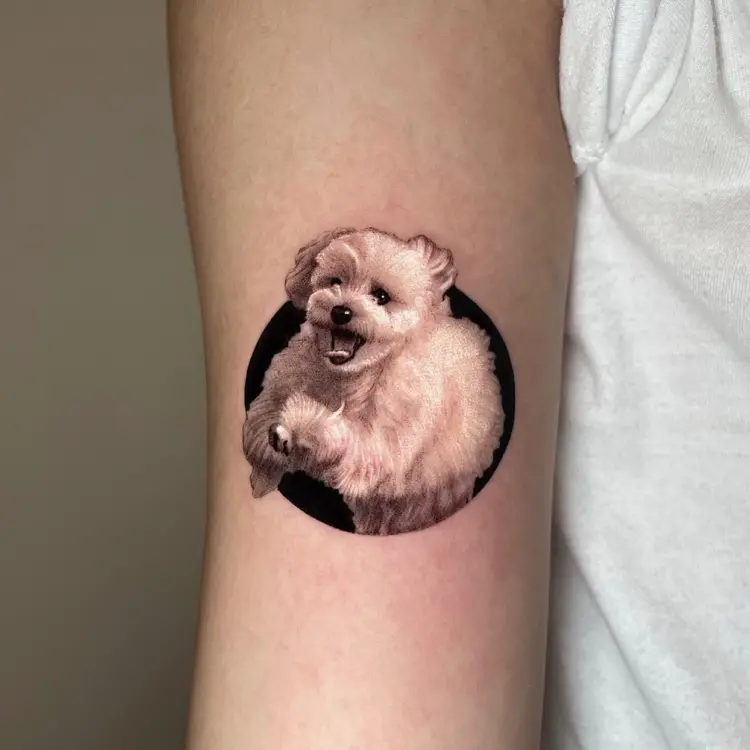 Animal