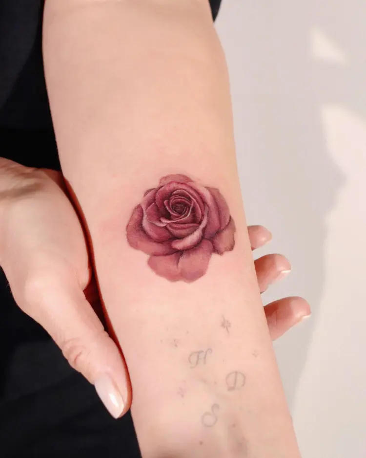 Flower, Rose