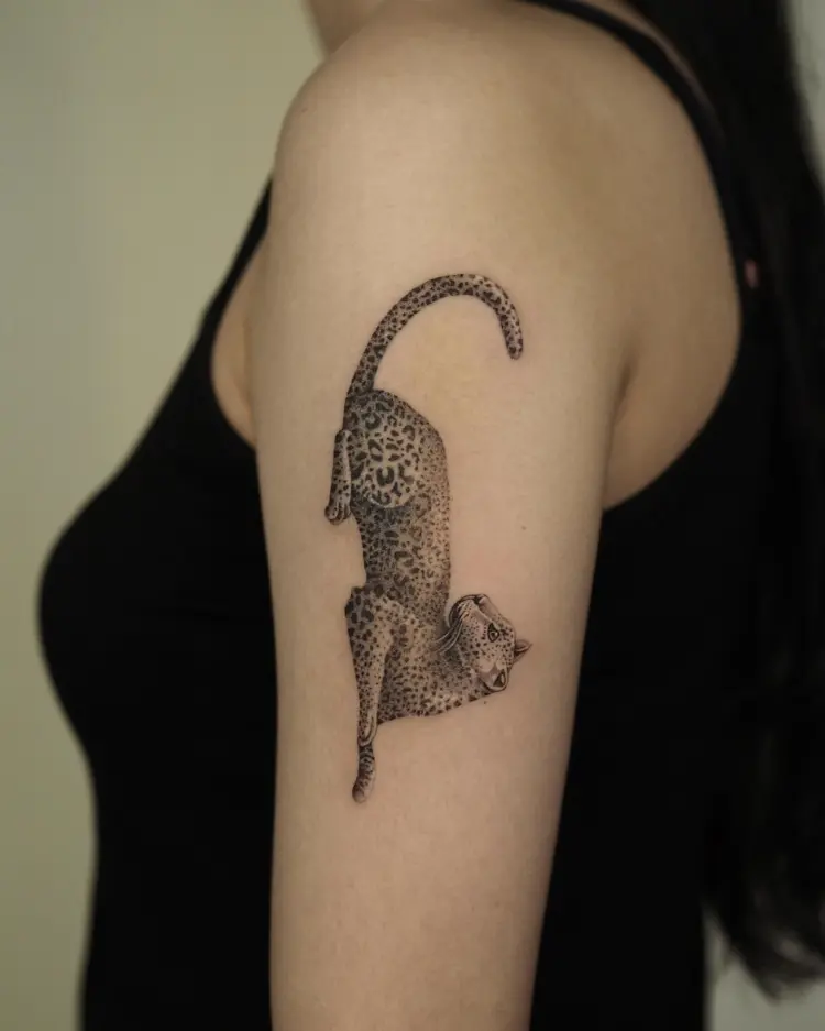 Animal