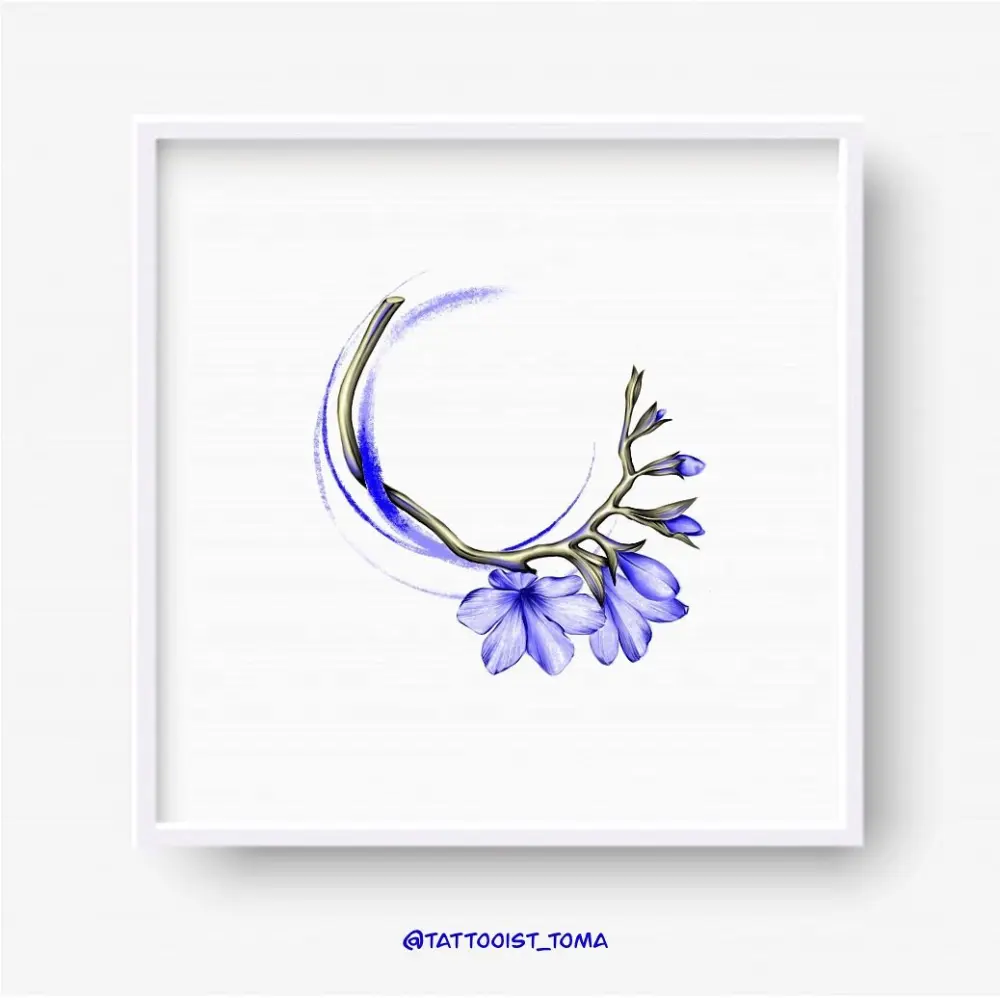 Flower, Nature