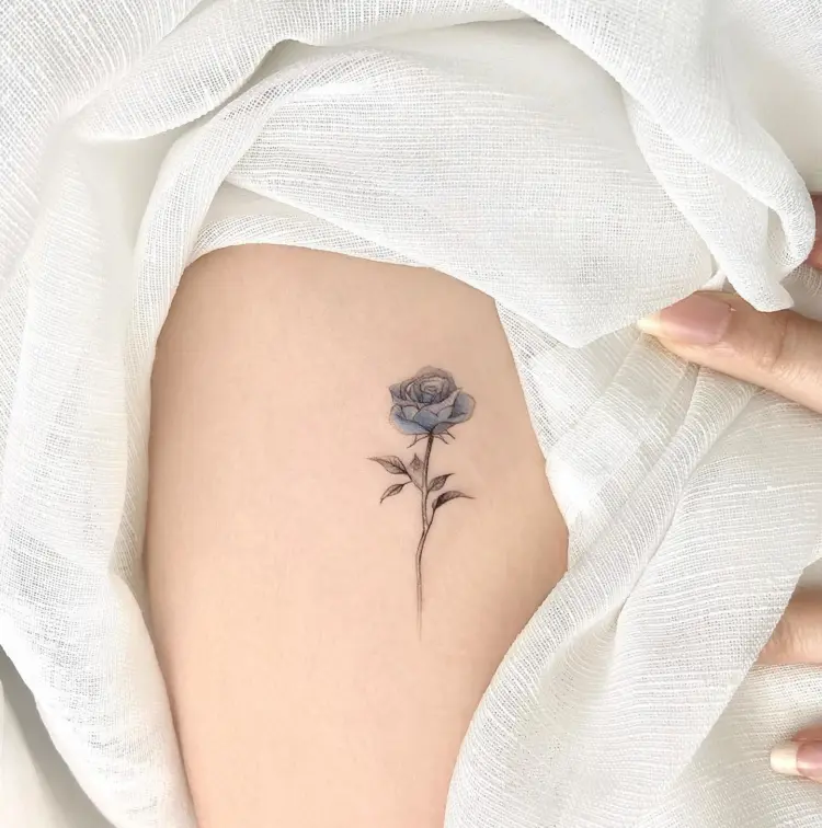Flower, Rose