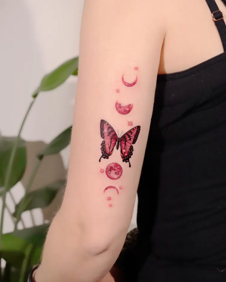 Animal, Nature