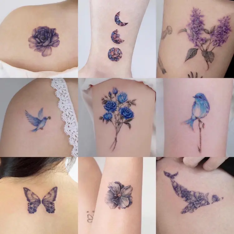 Flower, Rose, Nature, Animal