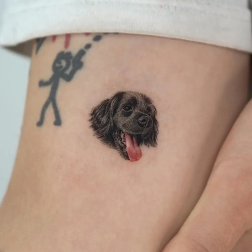 Animal