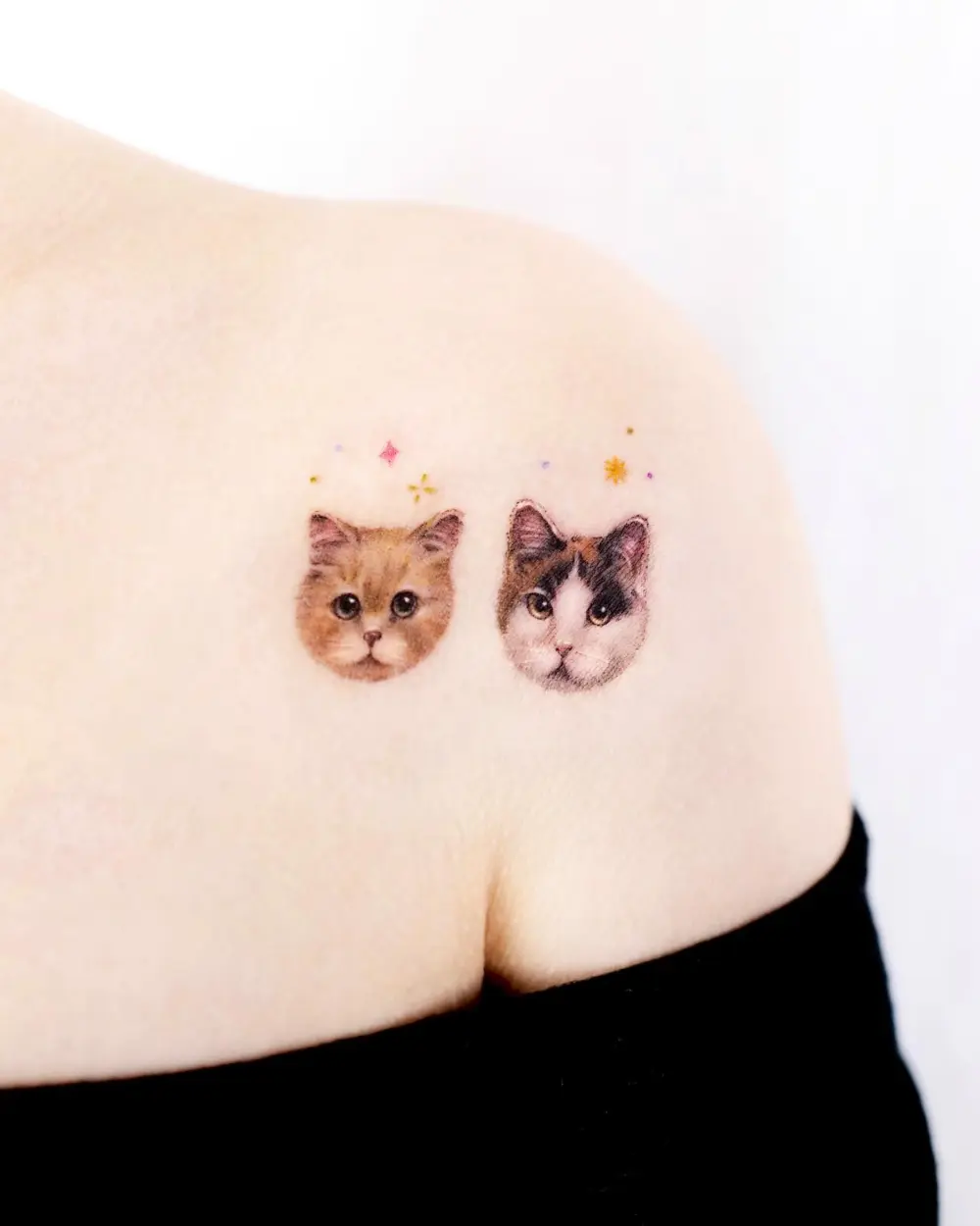 Animal, Mini