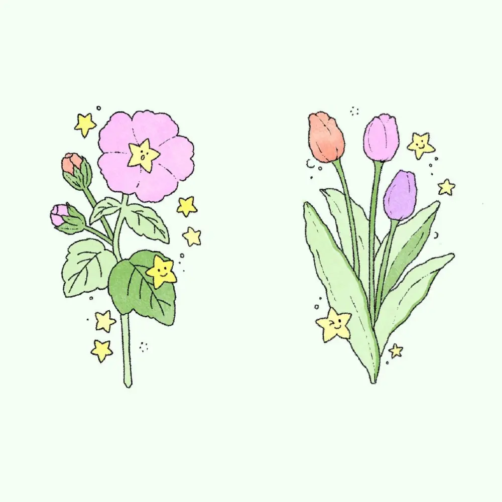 Flower
