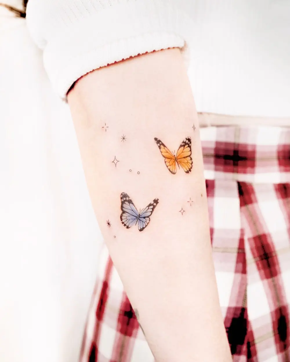 Mini, Nature, Animal