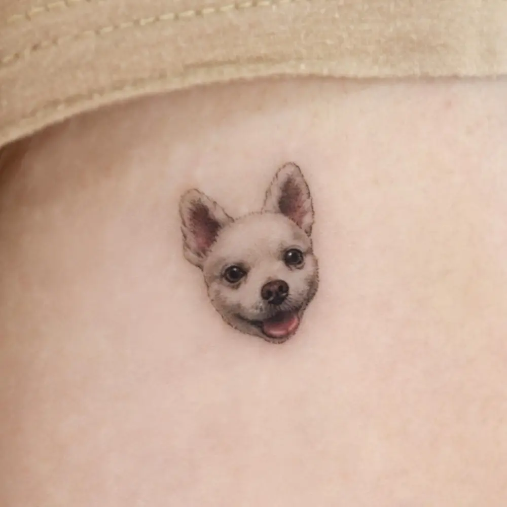 Animal