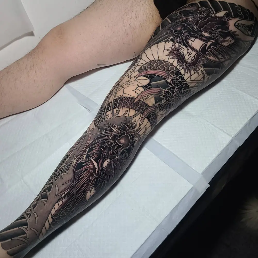 Dragon, Animal