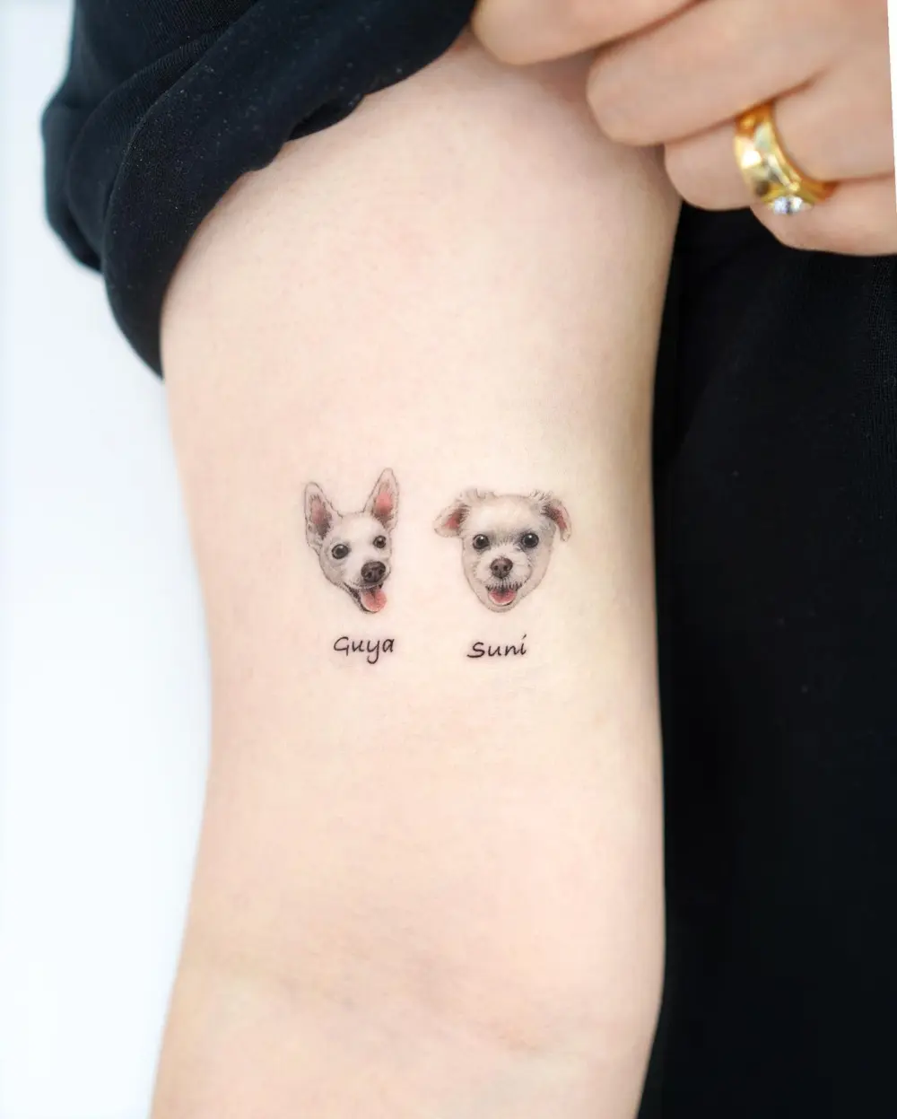 Lettering, Mini, Animal
