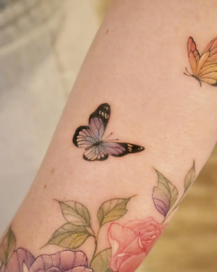 Flower, Nature, Animal