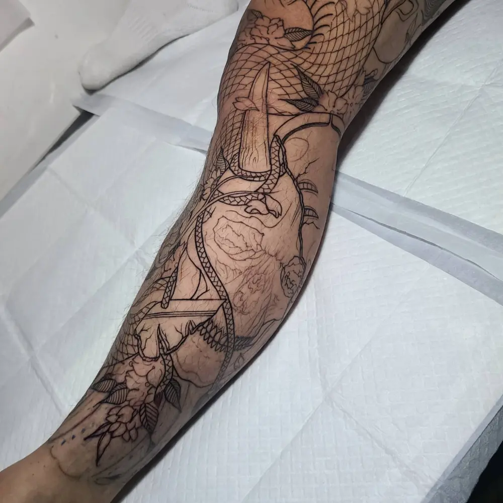 Dragon, Animal