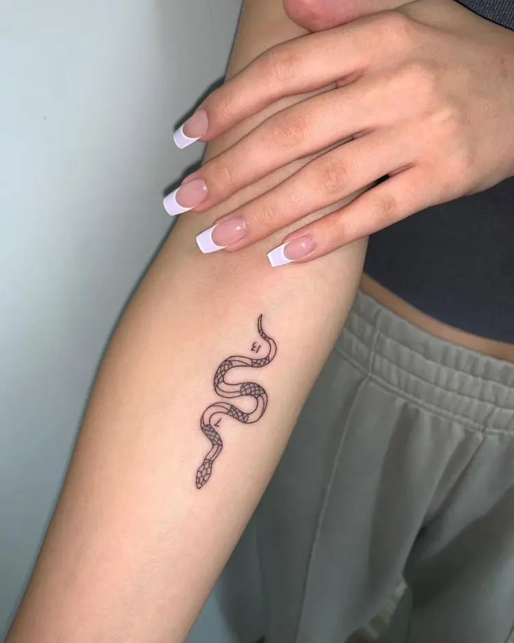 Snake, Animal