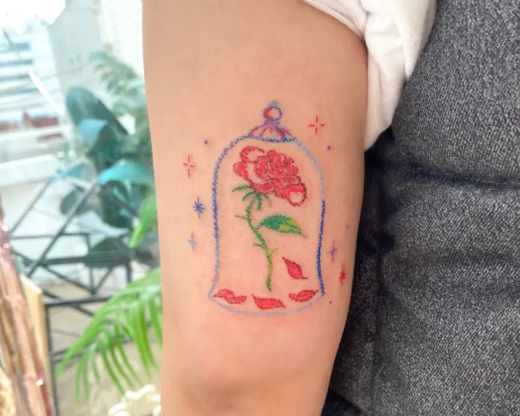Flower, Rose