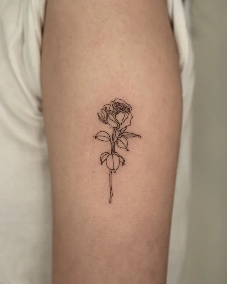 Flower, Rose