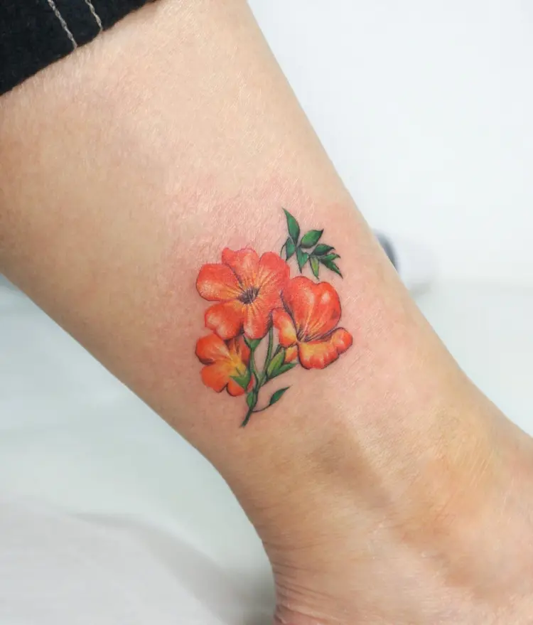 Nature, Flower