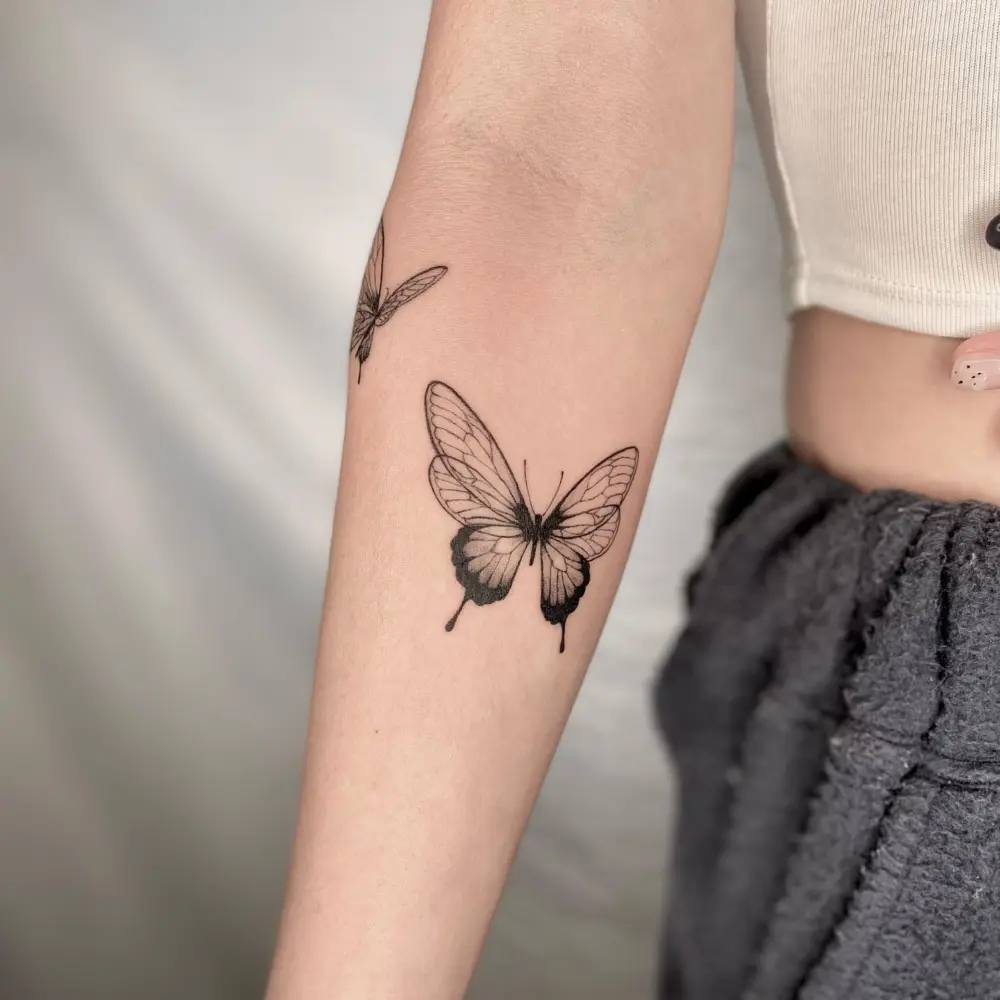 Animal, Nature