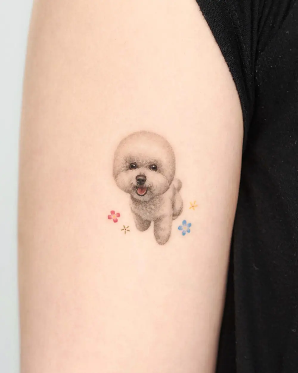 Animal, Mini