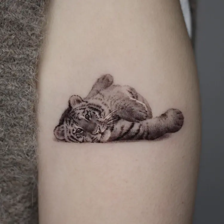 Animal, Tiger