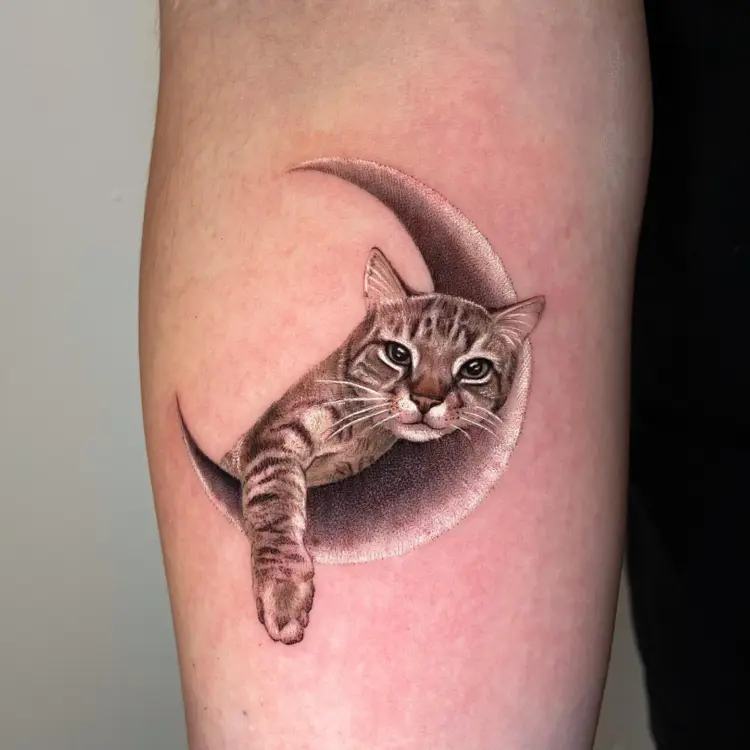 Animal