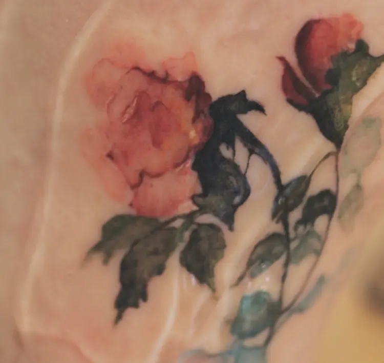 Flower, Rose
