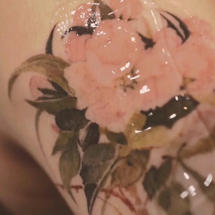 Flower, Rose