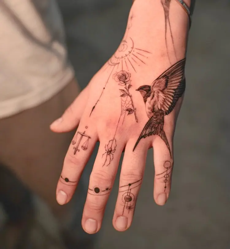 Rose, Animal, Nature