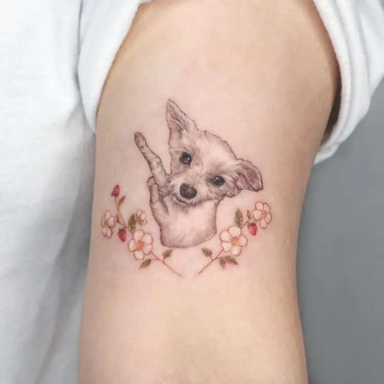 Animal