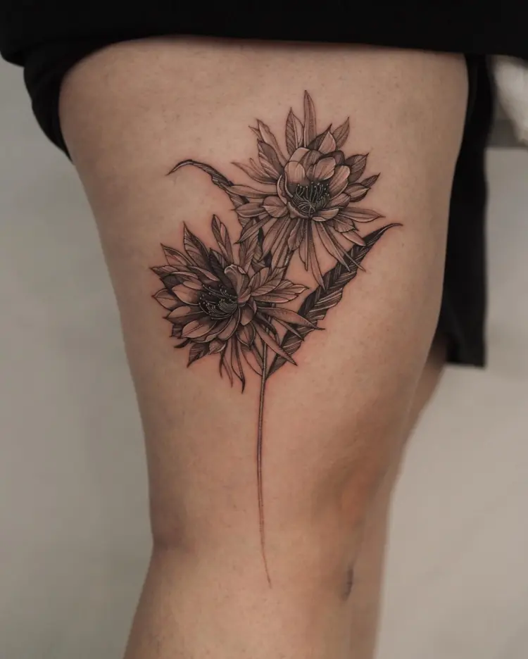 Nature, Flower