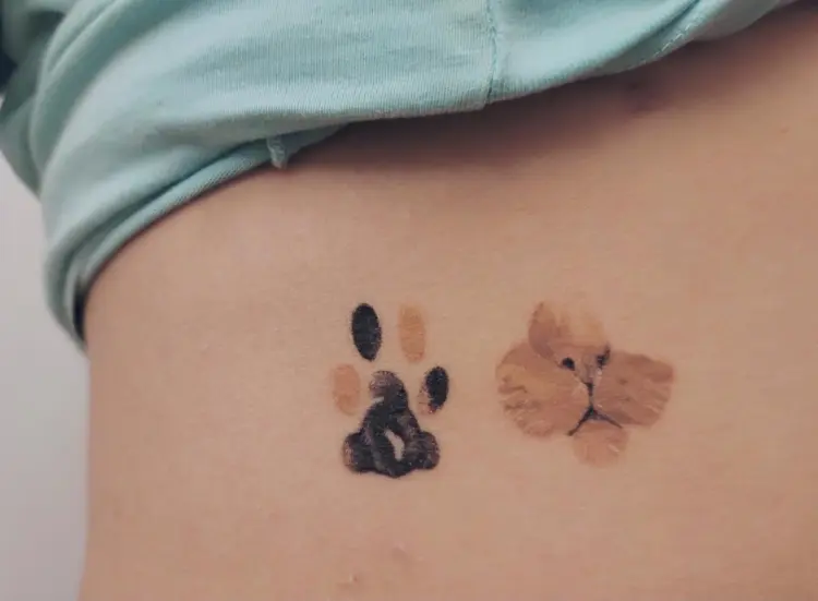 Animal, Mini