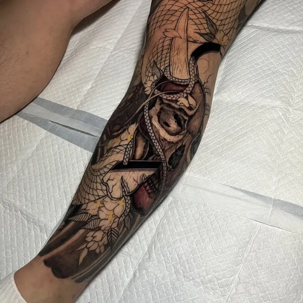 Dragon, Animal