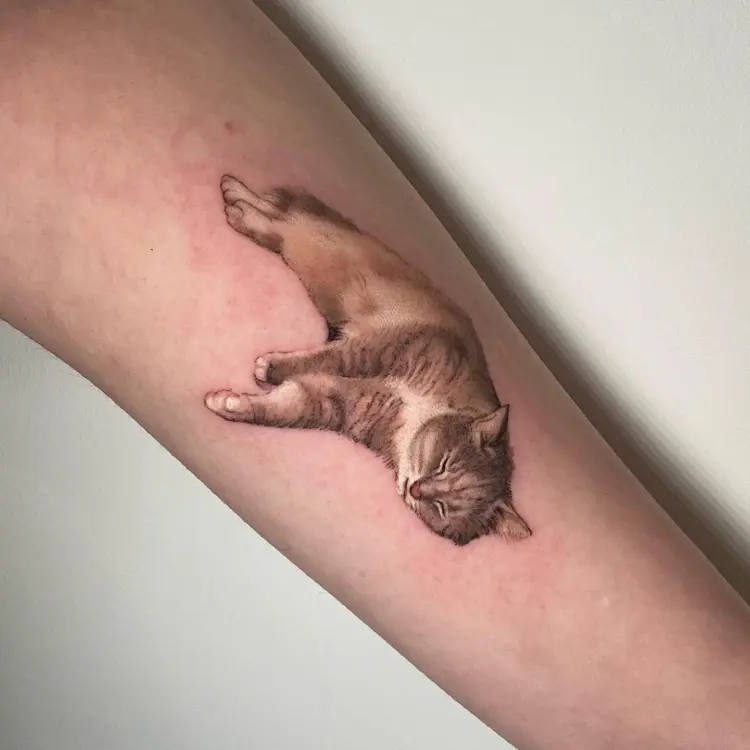 Animal