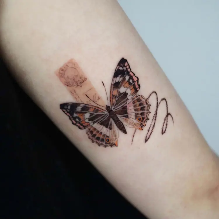 Animal, Nature