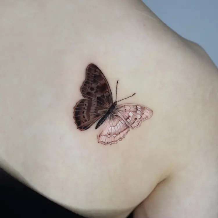 Animal, Nature