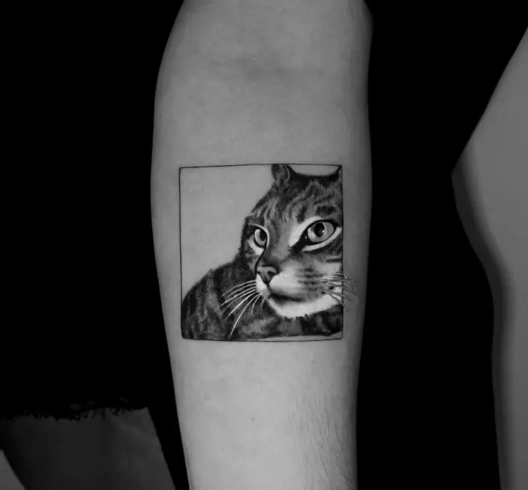 Animal