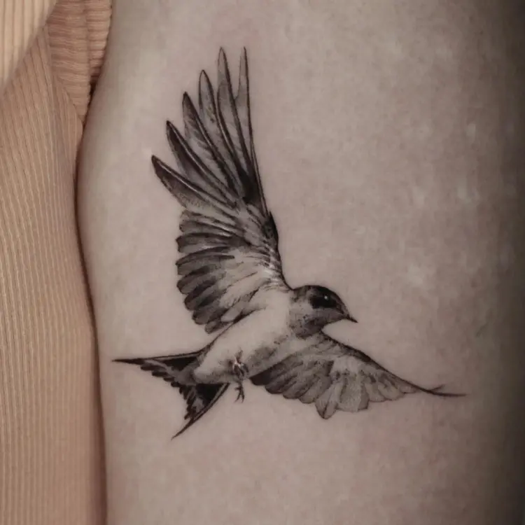 40.tatt
